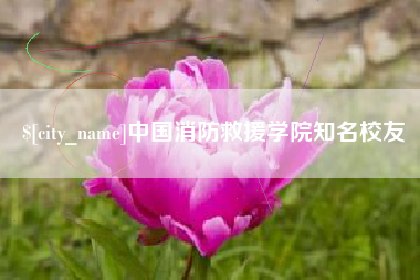 偃师中国消防救援学院知名校友
