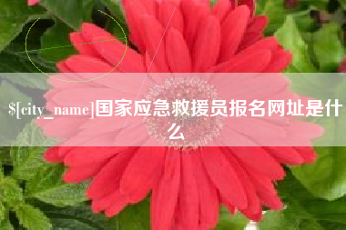 偃师国家应急救援员报名网址是什么