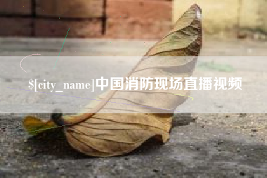 偃师中国消防现场直播视频