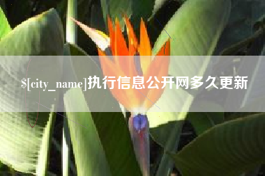 偃师执行信息公开网多久更新