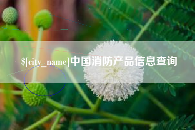 偃师中国消防产品信息查询