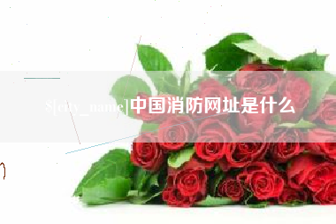 偃师中国消防网址是什么
