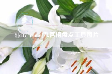 偃师九宫格盘点工具图片