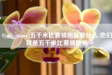 偃师五千米比赛领跑员是什么-他们就是五千米比赛领跑员