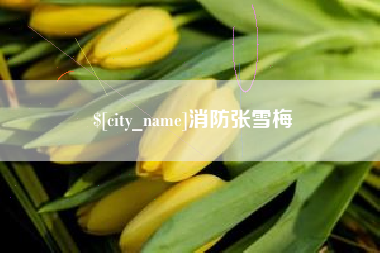 偃师消防张雪梅