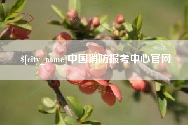 偃师中国消防报考中心官网