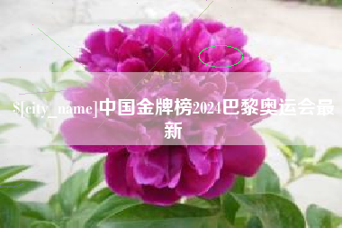 偃师中国金牌榜2024巴黎奥运会最新