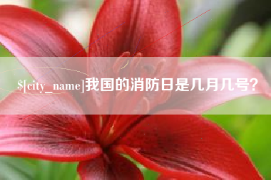 偃师我国的消防日是几月几号？