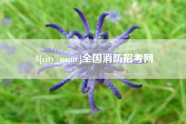 偃师全国消防招考网
