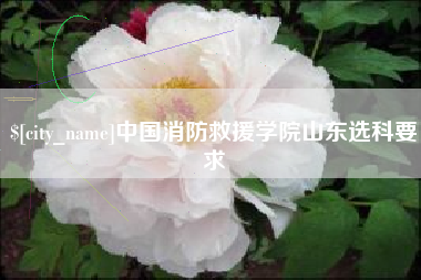 偃师中国消防救援学院山东选科要求