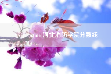 偃师河北消防学院分数线