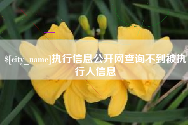 偃师执行信息公开网查询不到被执行人信息