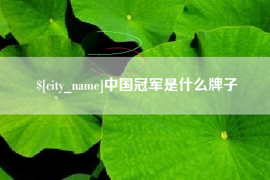 偃师中国冠军是什么牌子