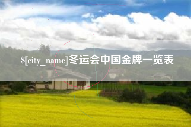 偃师冬运会中国金牌一览表