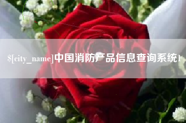 偃师中国消防产品信息查询系统1