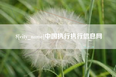 偃师中国执行执行信息网