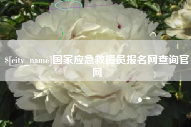 偃师国家应急救援员报名网查询官网