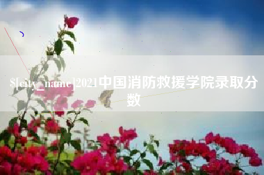 偃师2021中国消防救援学院录取分数