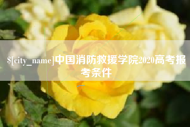 偃师中国消防救援学院2020高考报考条件