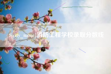 偃师消防工程学校录取分数线