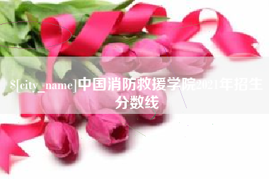 偃师中国消防救援学院2021年招生分数线