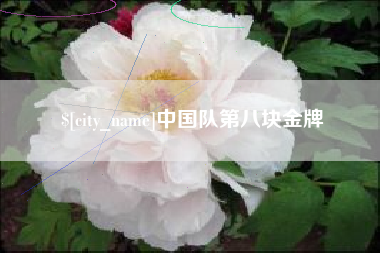 偃师中国队第八块金牌
