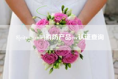 偃师消防产品ccc认证查询