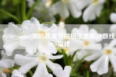 偃师消防救援学院招生录取分数线2020福建