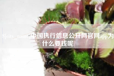 偃师中国执行信息公开网官网app为什么要钱呢