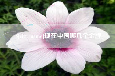 偃师现在中国哪几个金牌