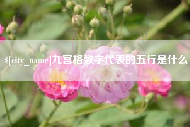 偃师九宫格数字代表的五行是什么