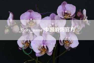 偃师中国消防官方