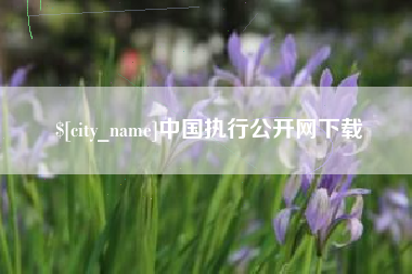 偃师中国执行公开网下载