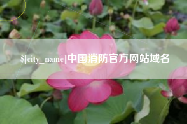 偃师中国消防官方网站域名