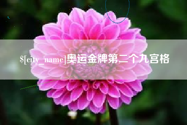 偃师奥运金牌第二个九宫格