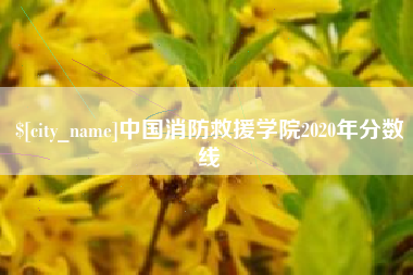 偃师中国消防救援学院2020年分数线