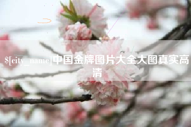 偃师中国金牌图片大全大图真实高清