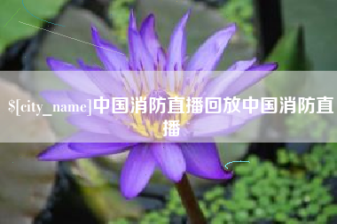 偃师中国消防直播回放中国消防直播