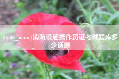 偃师消防设施操作员证考试题库多少道题
