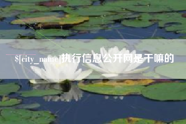 偃师执行信息公开网是干嘛的