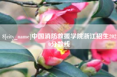 偃师中国消防救援学院浙江招生2020分数线