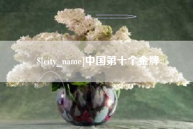 偃师中国第十个金牌