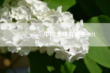偃师中国金牌有哪些2021