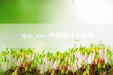 偃师中国的几个金牌