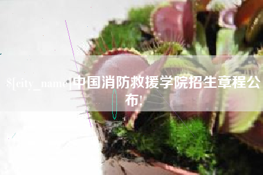 偃师中国消防救援学院招生章程公布!