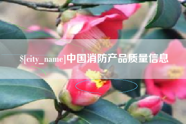 偃师中国消防产品质量信息
