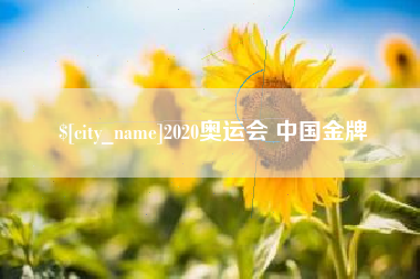 偃师2020奥运会 中国金牌