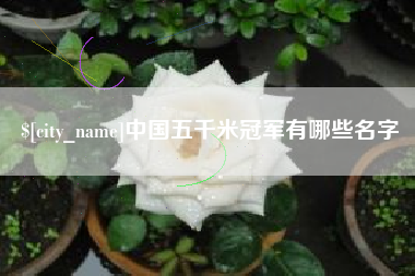 偃师中国五千米冠军有哪些名字