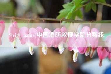 偃师中国消防救援学院分数线