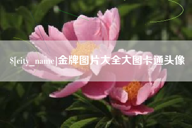 偃师金牌图片大全大图卡通头像